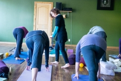 Lyne Yoga - Hips Workshop
