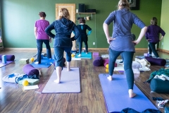 Lyne Yoga - Hips Workshop